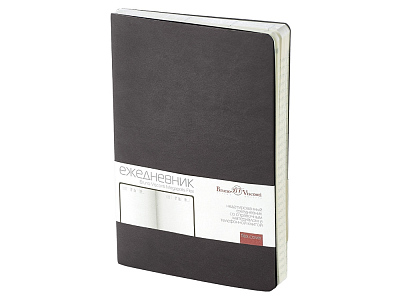 Ежедневник недатированный А5 Megapolis Velvet Flex (Серый)