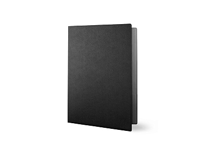 Папка для документов Favor (Чёрный)