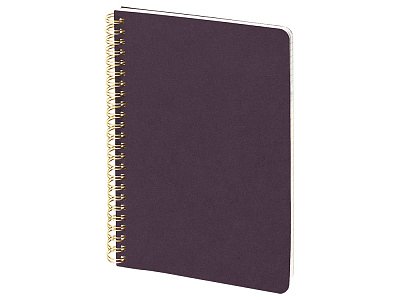 Бизнес тетрадь А5 Pragmatic (Фиолетовый)