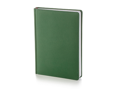 Ежедневник А5 датированный Leader на 2026 год (Зеленый)