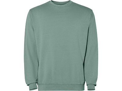 Свитшот Jaya, унисекс (Сине-зеленый выстиранный) Свитшот Jaya, унисекс (Сине-зеленый выстиранный)