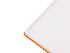 Бизнес-блокнот А5 C2 soft-touch - Фото 6