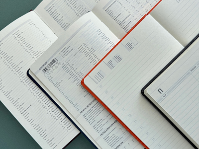 Ежедневник недатированный А5 Megapolis Loft