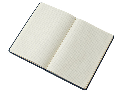 Блокнот в твердой обложке A5 Виспи в клетку