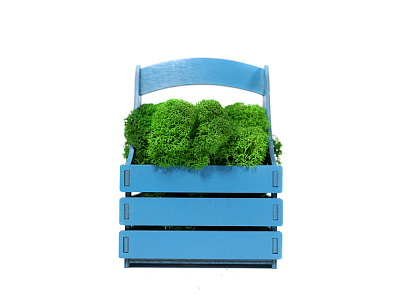 Композиция Корзинка со мхом (Синий, зеленый)