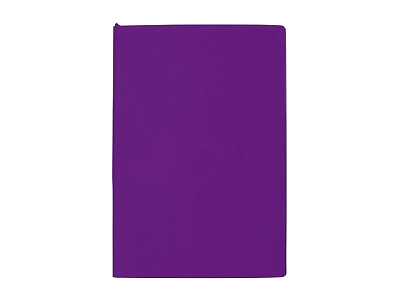 Бизнес-блокнот А5 C1 soft-touch