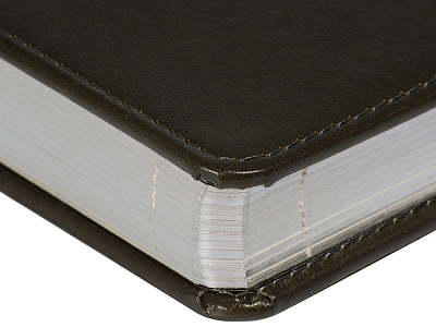 Ежедневник недатированный А5 Parliament