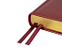 Ежедневник недатированный А5 Parliament - Фото 4