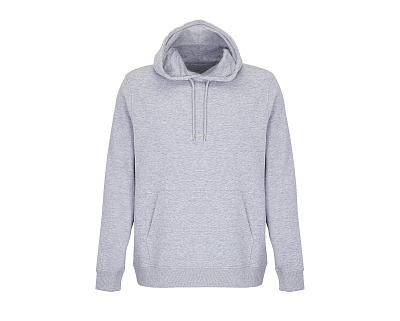 Свитшот CONSTELLATION (Серый)