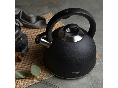 Чайник со свистком ANESA, 2,9 л