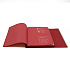 Ежедневник Bplanner.03 pro (красный) - Фото 3
