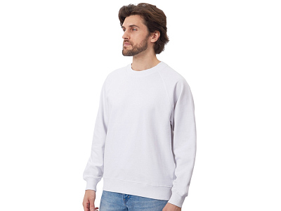 Свитшот оверсайз с рукавом реглан Belgrade, унисекс