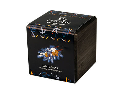 Набор для выращивания Small village cube Ель Голубая (Чёрный)