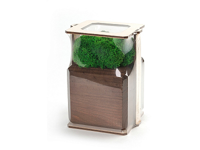 Композиция Мох в интерьере