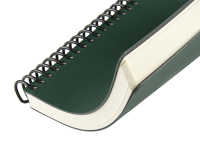 Ежедневник недатированный А5 Agenda