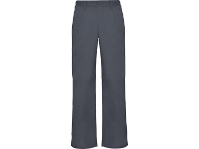 Брюки Daily, мужские (Свинцовый)