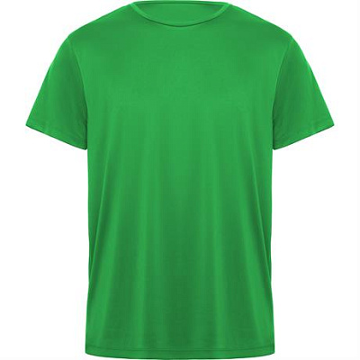 Спортивная футболка DAYTONA унисекс, ПАПАРОТНИКОВЫЙ 2XL (Папаротниковый)