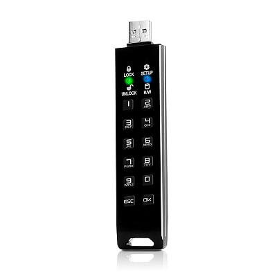 Флешка с аппаратным шифрованием DataLock PRO4 USB 3.2, черный, 128Гб