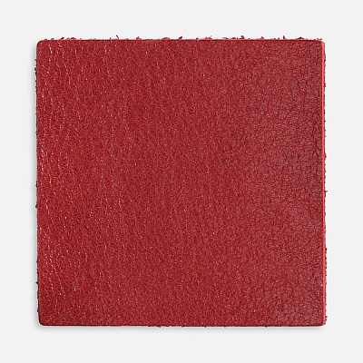 Лейбл кожаный Pasek, L  (Красный)