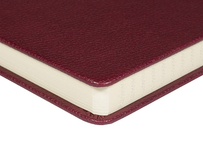 Ежедневник недатированный А5 Megapolis Loft