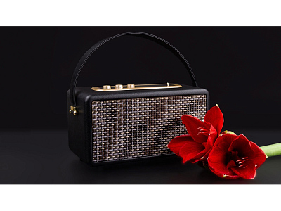 Портативная акустика Mysound Drive