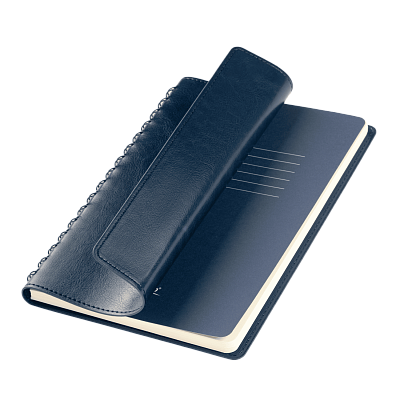 Ежедневник Виста Нео (Vista Neo) недатированный, синий (Синий, бежевый)