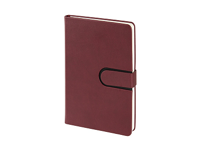 Ежедневник недатированный А5 Status