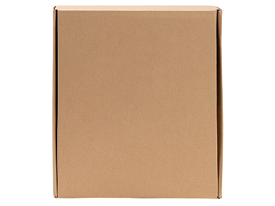 Набор с ланч-боксом и бутылкой БАГНЕР