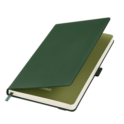 Ежедневник Альфа (Alpha) недатированный, красный/серый (Зеленый, бежевый)