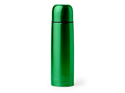 Термос SALVIA (Папоротниковый)