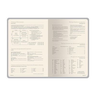Ежедневник А5 датированный Megapolis Nappa на 2027 год