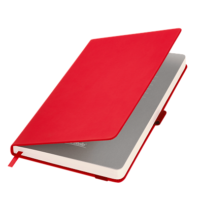 Ежедневник Alpha недатированный, синий/голубой (Красный, серый, бежевый)