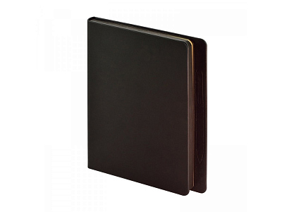 Ежедневник недатированный А5 Megapolis Magnet (Чёрный)