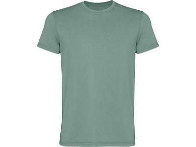 Футболка Corgi, мужская (Сине-зеленый выстиранный)