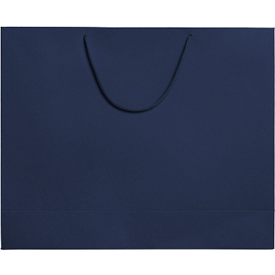 Пакет бумажный Ample Plus L, синий