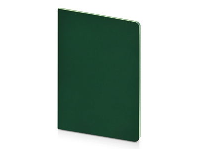 Бизнес-тетрадь А5 Pragmatic Contrast (Темно-зеленый/салатовый)