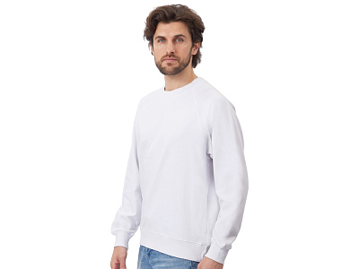 Свитшот оверсайз с рукавом реглан Belgrade, унисекс