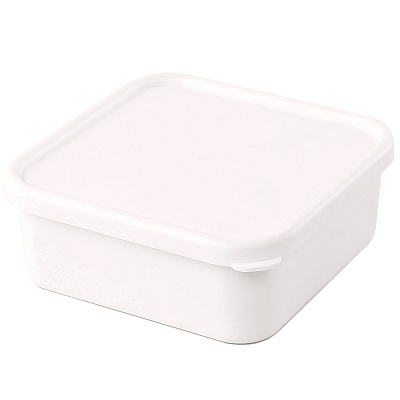 Ланчбокс (контейнер для еды) Squarebox  (Белый)