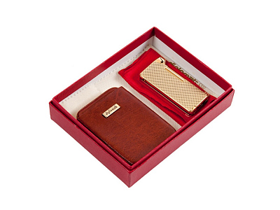 Набор: визитница, трубочная зажигалка (Коричневый/золотистый)