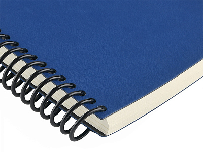 Ежедневник недатированный А5 Agenda