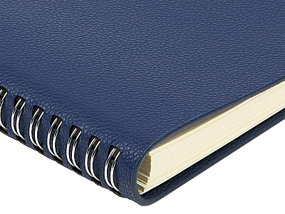 Ежедневник недатированный А5 Alba