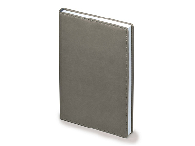 Ежедневник А5 датированный Velvet на 2025 год (Серый)
