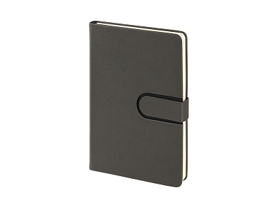 Ежедневник недатированный А5 Status