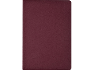 Бизнес тетрадь А5 Pragmatic