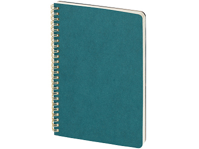 Бизнес тетрадь А5 Pragmatic (Карибский синий)