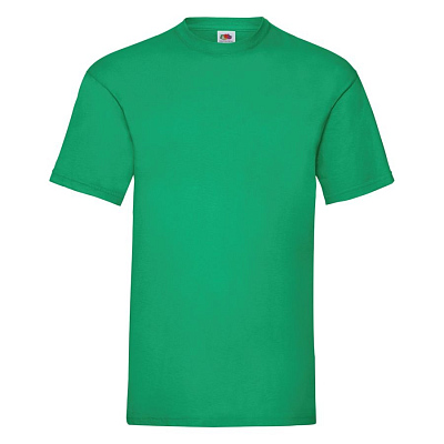 Футболка мужская VALUEWEIGHT T 165 (Зеленый)