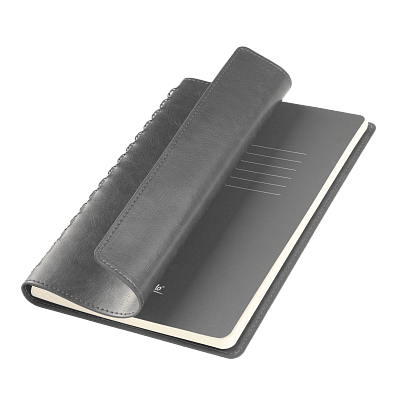 Ежедневник Vista Neo недатированный, серый (Серый, бежевый)