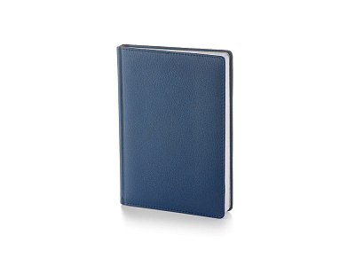 Ежедневник А5 датированный Leader на 2020 год (Синий)