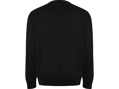 Свитшот из органического хлопка Batian, унисекс (Чёрный)