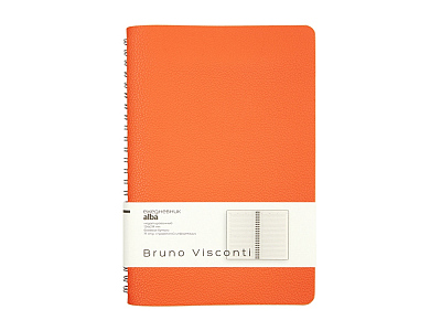 Ежедневник недатированный А5 Alba